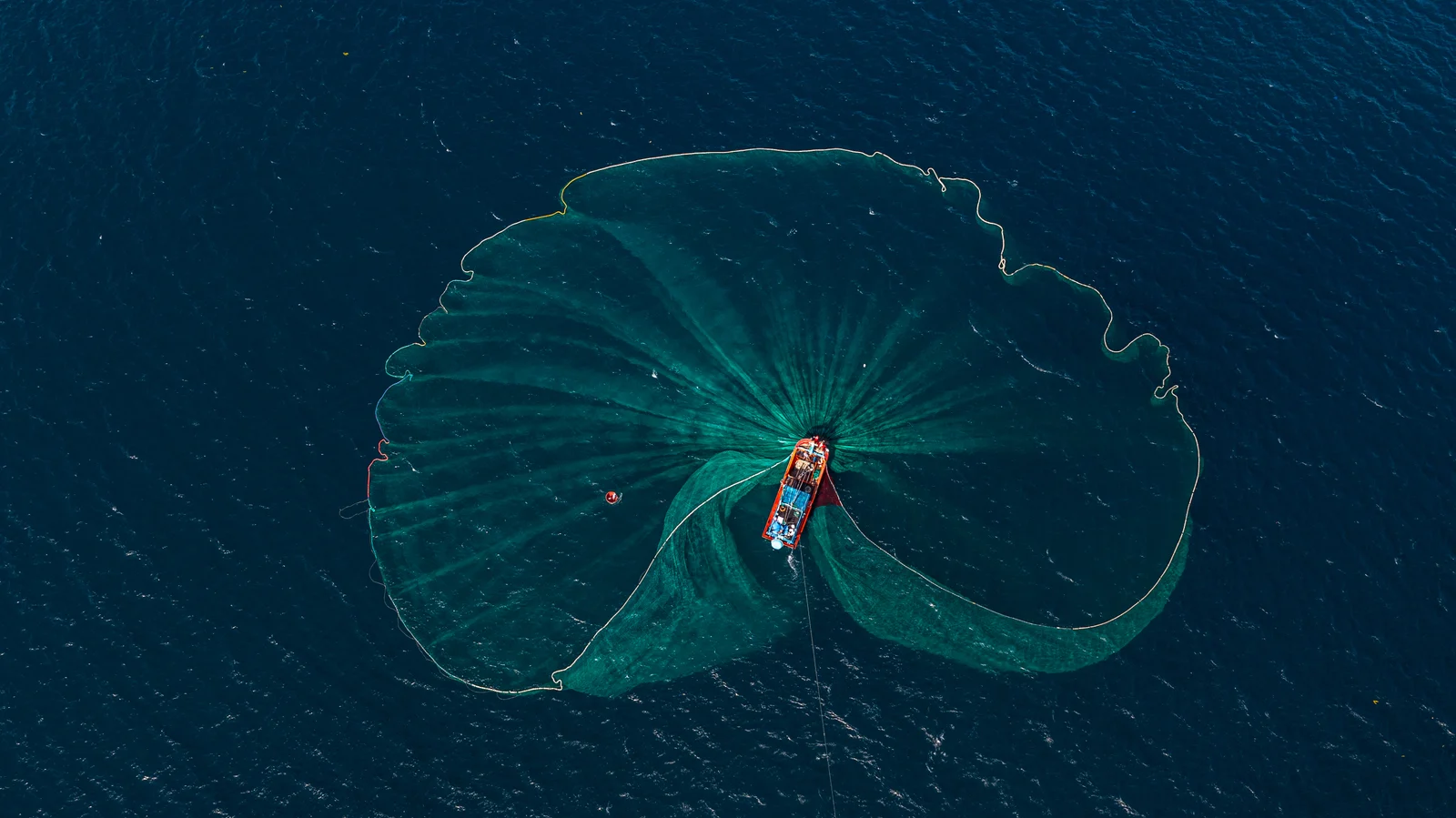 Collaboration with the seafood industry